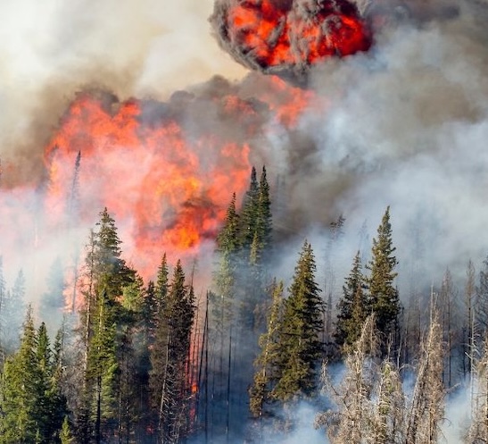 Air duct cleaning service helping an Inland Northwest home breathe easier after wildfire smoke
