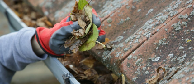 Professional gutter cleaning service protecting a home from water damage